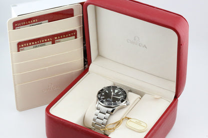 Omega Seamaster Professional 300M Quartz